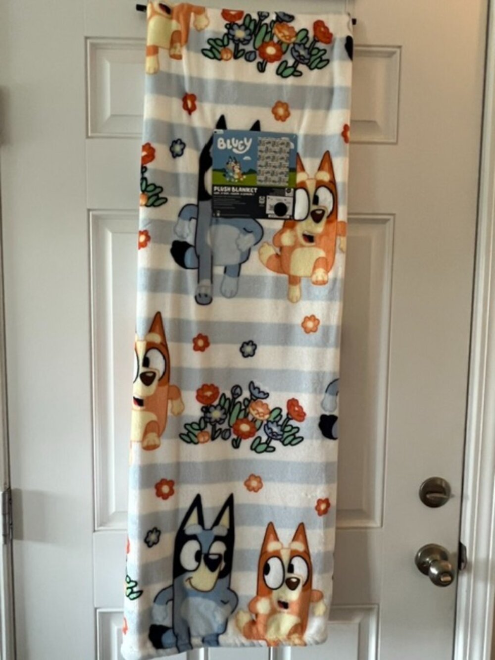 BLUEY SPRING OVERSIZED BLANKET